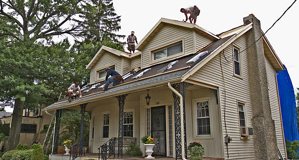 Best Best Roofing Contractors  in Borden, IN