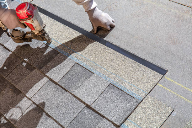 Best Roof Leak Repair  in Borden, IN